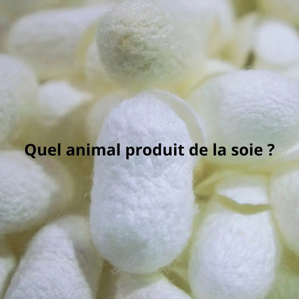 Quel-animal-produit-de-la-soie Coeur de Foulard
