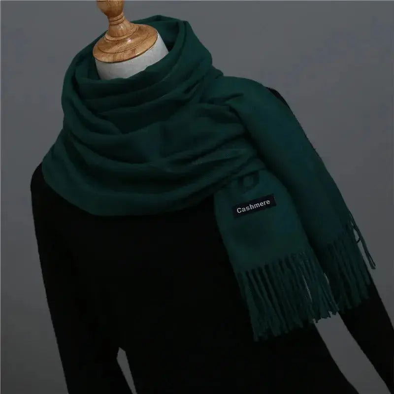 Echarpe cachemire homme JACKSON bis - Coeur de Foulard