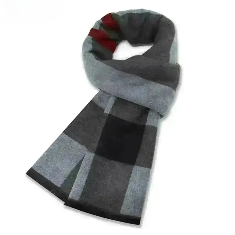 Echarpe homme ALFSIGR - Coeur de Foulard