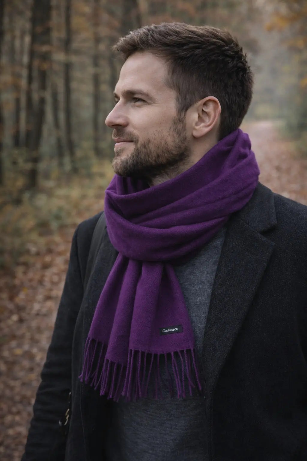 Echarpe cachemire homme EVERETT bis - Coeur de Foulard